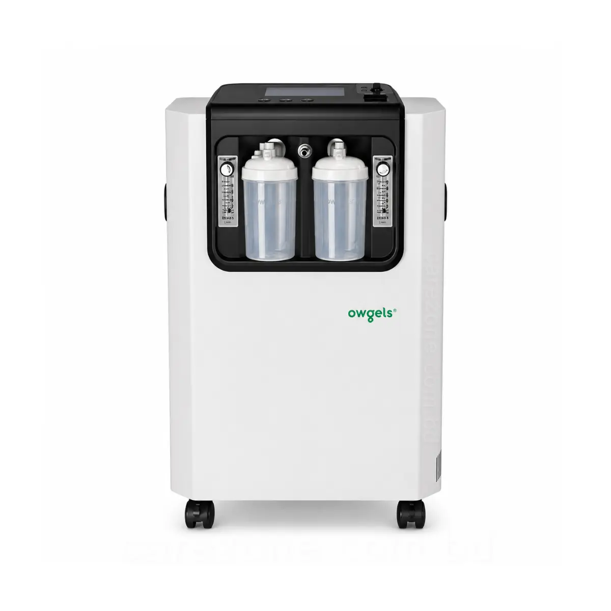 owgels oxygen concentrator 10 liter price